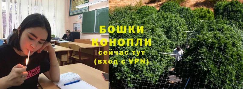 Бошки марихуана OG Kush  наркотики  Богородицк 